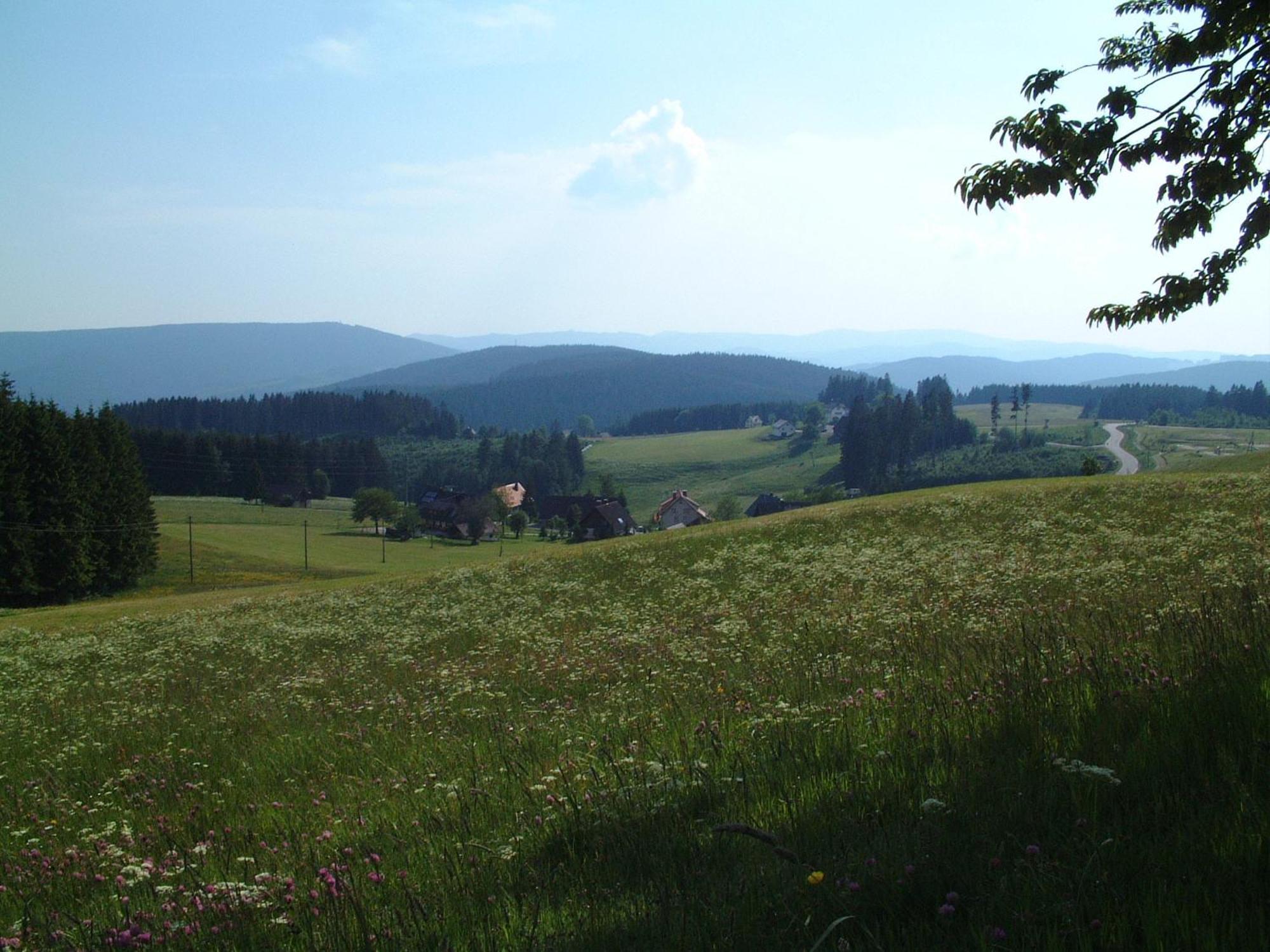 Cafe-Pension Feldbergblick Titisee-Neustadt Luaran gambar